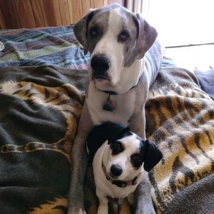 Meet your Posher, Karen